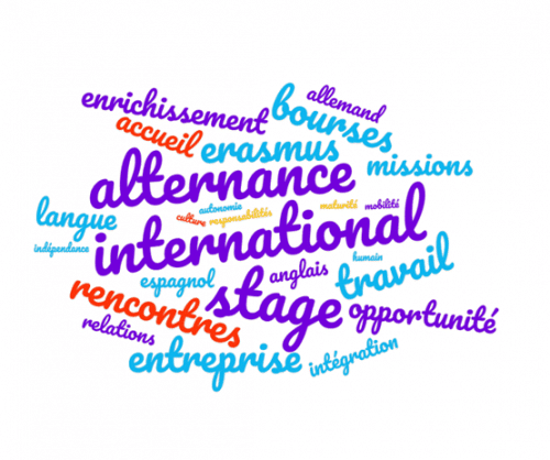 Stage à l’étranger : témoignages d’étudiants au Portugal et en Pologne